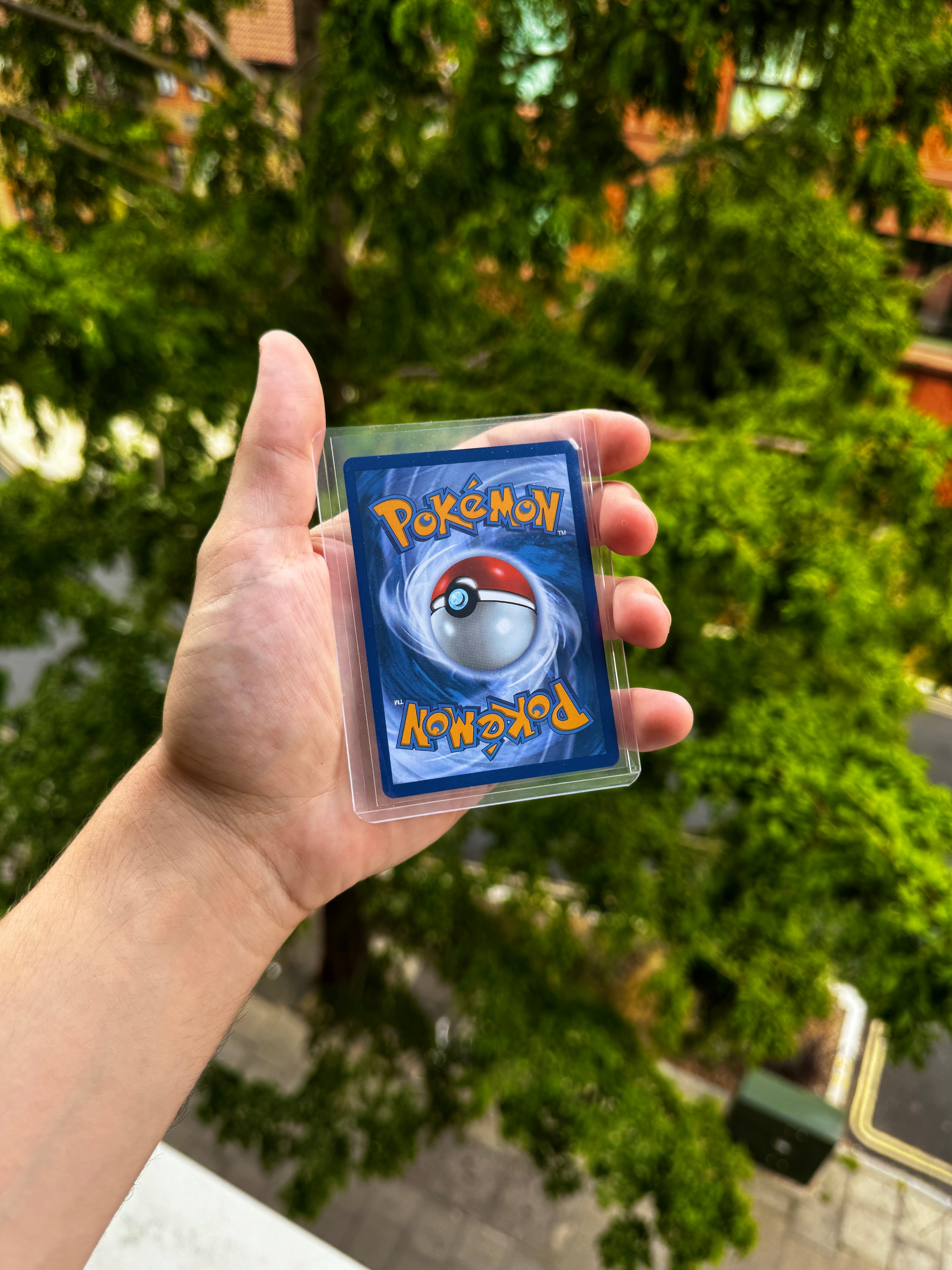 Clear Regular Toploaders (Generic) - 25 Pack